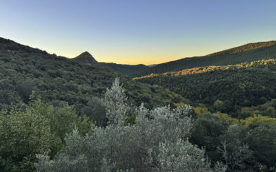 Stage en Ardeche du  31/9 au 04/09/26